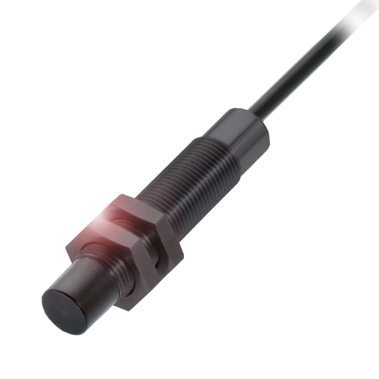 Емкостной датчик BCS M12BBG1-NSC80H-EP02